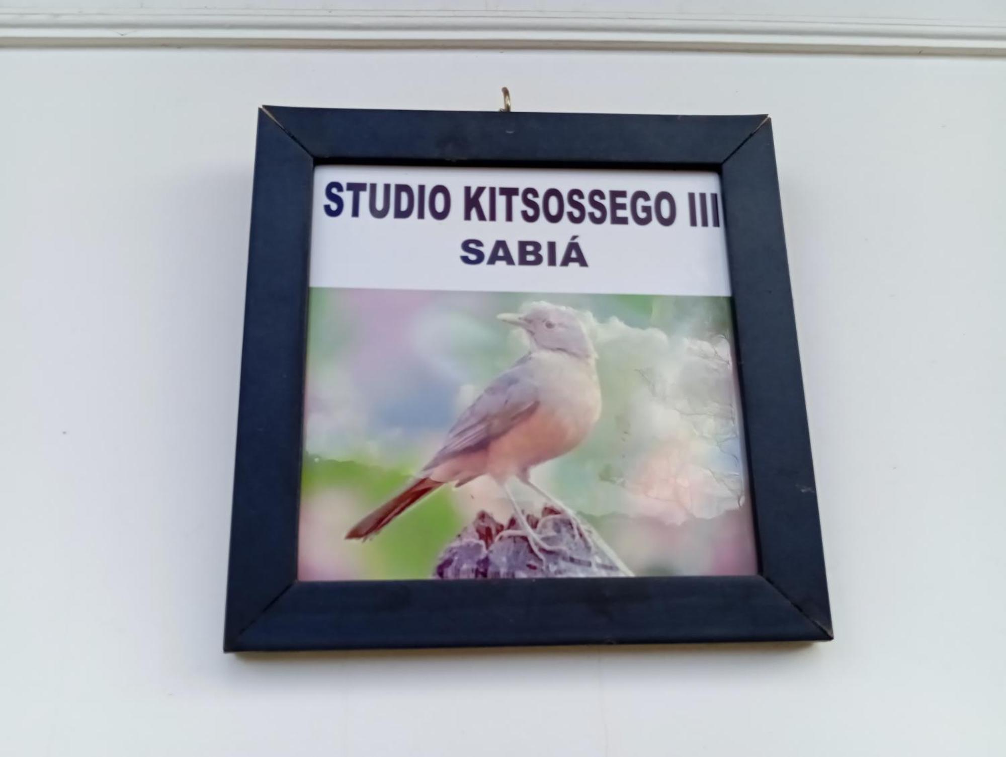 Studio Kitsossego Curitiba Extérieur photo